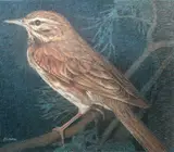 Redwing Thrush, Helmuth Stone Gallery 2020