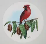 Don Balke, Cardinal