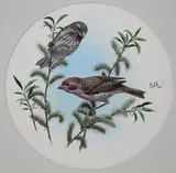 Don Balke, Purple Finch