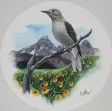 Don Balke, Clark's Nutcracker