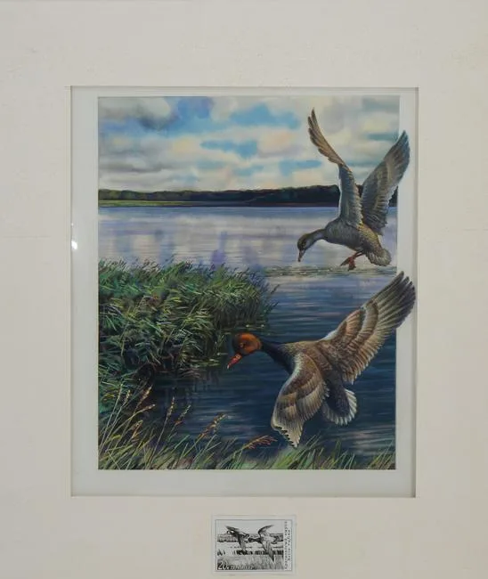 Red-Crested Pochard by Ivan Kozlov, Watercolor on Paper, sold Aug 2020