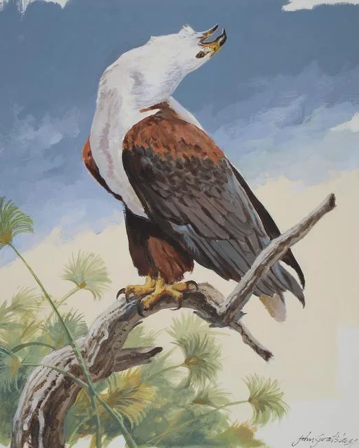 African Fish Eagle by John Swatsley, Oil on Illustration Board, sold Aug 2020