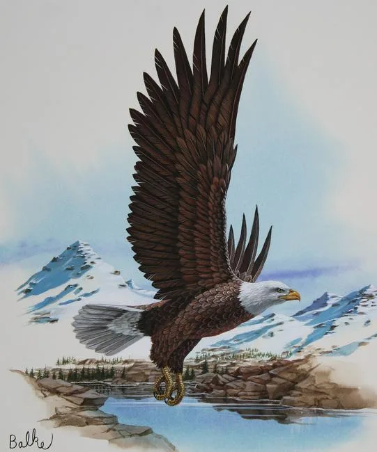 Bald Eagle by Don Balke, Watercolor on Illustration Board, sold Oct 2020