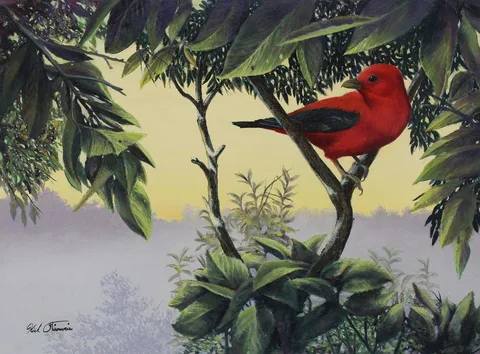 Kirk Stirnweis, Scarlet Tanager, Oil on Illustration Board