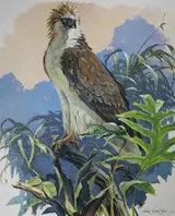 John Swatsley, Philippine Eagle