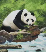 Chuck Ripper, Giant Panda Climbing on Rock Near River's Edge