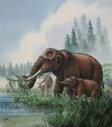 Don Balke, Mastodon Mother and Baby Drinking in Marsh