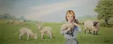 Peter Barrett, Life of a Baby Sheep
