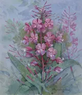 Gordon Beningfield, Fireweed