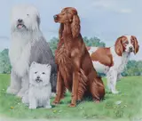 Peter Barrett, Composite of Dogs