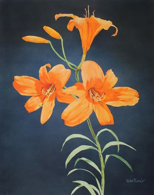 Enchantment Lilly by Skip Whitcomb, Mixed Media on Illustration Board, sold Oct 2020