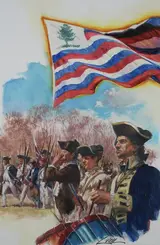 Dennis Lyall, New England Flag