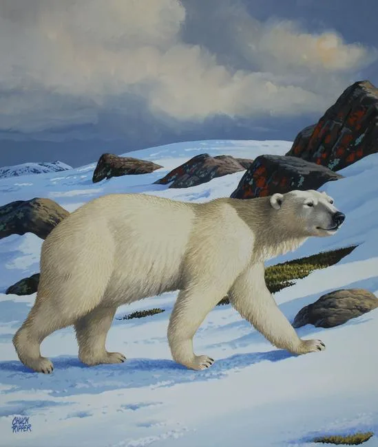 Polar Bear by Chuck Ripper, Gouache on Illustration Board, sold Nov 2020