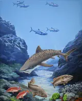 Chuck Ripper, New Zealand Aquatic Animals - Shark