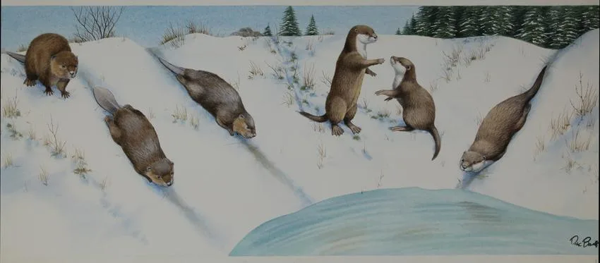 Baby Animals by Peter Barrett, Watercolor on Paper, sold Nov 2020