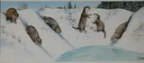Peter Barrett, Baby Animals