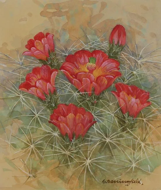 Claret Cup Cactus by Gordon Beningfield, Watercolor on Paper, offered Nov 2020