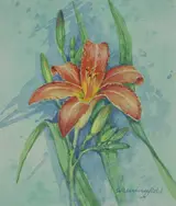 Gordon Beningfield, Day Lily