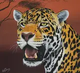 R.G. Finney, Jaguar