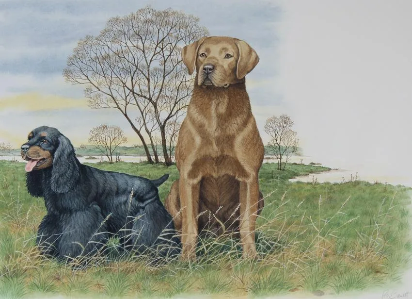 Cocker Spaniel and Chesapeake Bay Retriever by Peter Barrett, Watercolor on Illustration Board, sold Jan 2021