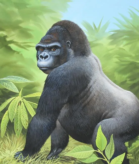 Gorilla Sitting in Grass by Chuck Ripper, Gouache/Watercolor on Masonite, sold Jan 2021
