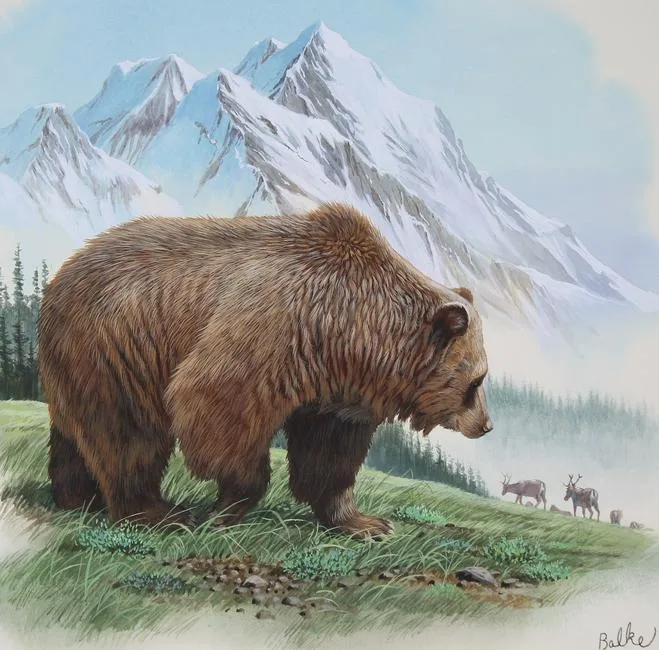 Alaska Brown Bear by Don Balke, Watercolor on Illustration Board, sold Jan 2021
