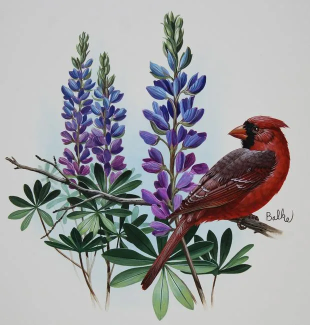 Cardinal by Don Balke, Watercolor on Illustration Board, sold Jan 2021