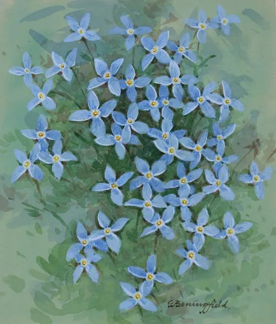 Bluets by Gordon Beningfield, Watercolor on Paper, sold Jan 2021
