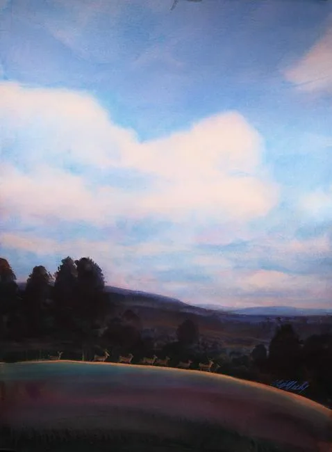 For Spacious Skies by Tom McNeely, Watercolor on Paper, sold Jan 2021