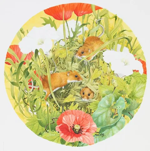 Ken Lilly, Harvest Mice At Nest, Watercolor on Paper