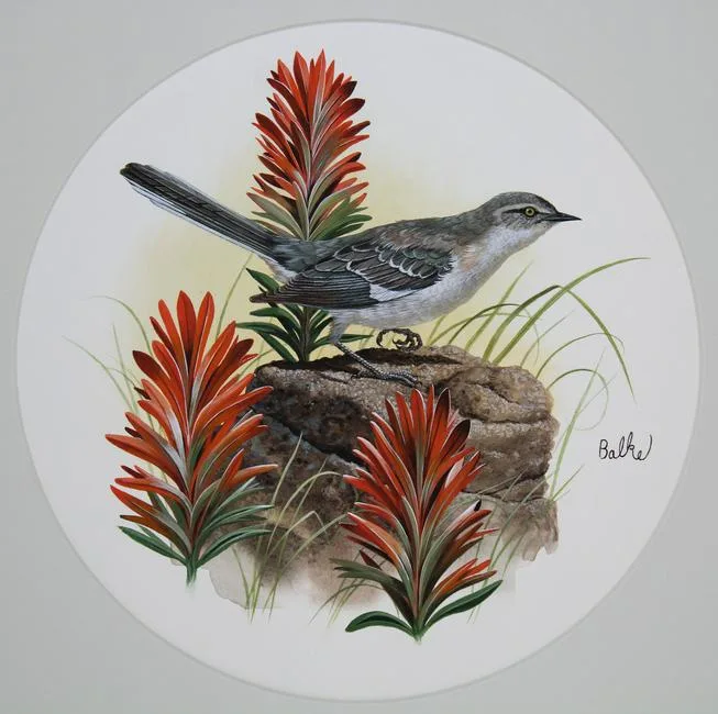 Mockingbird by Don Balke, Watercolor on Illustration Board, sold Feb 2021