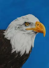 Paul Calle, 1990s - Recovering Species