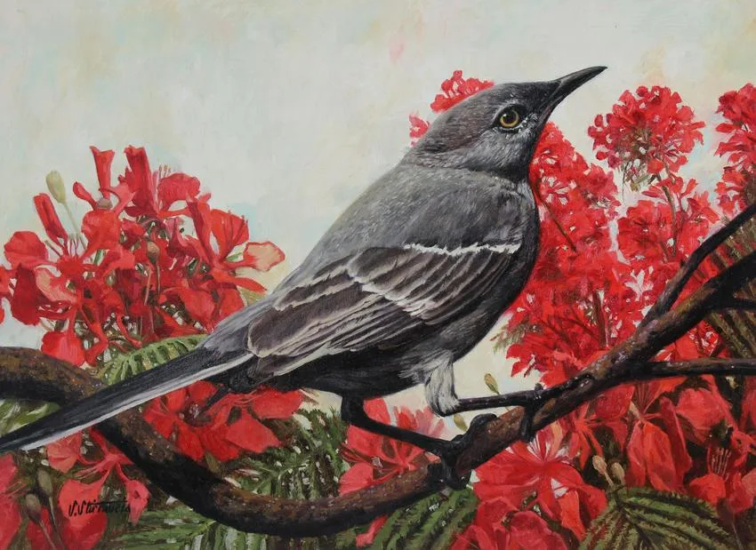Mockingbird by Shannon Stirnweis, Oil on Illustration Board, sold Feb 2021