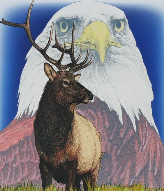 John Benson, Take Pride in America/Eagle and Elk, Mixed Media on Paper