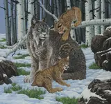 R.G. Finney, Lynx Mother and Cubs