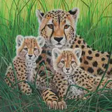 R.G. Finney, Cheetah and Her Cubs Lying in Grass
