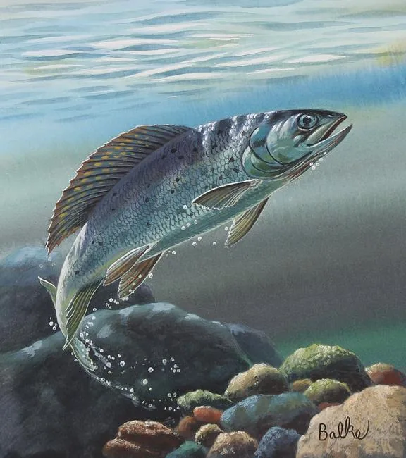 Don Balke, Grayling, Watercolor on Illustration Board