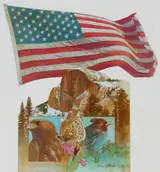 Mark Schuler, Flag over Yosemite