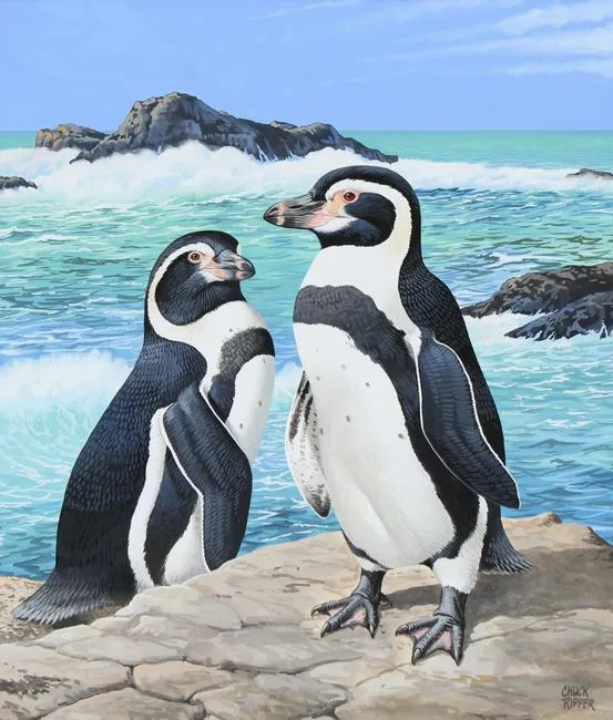 Humboldt's Penguins by Chuck Ripper, Gouache, sold Apr 2021