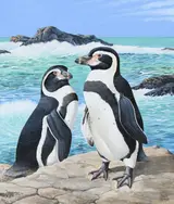 Chuck Ripper, Humboldt's Penguins