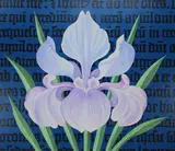 Iris - Manuscript Illumination, Helmuth Stone Gallery 2021