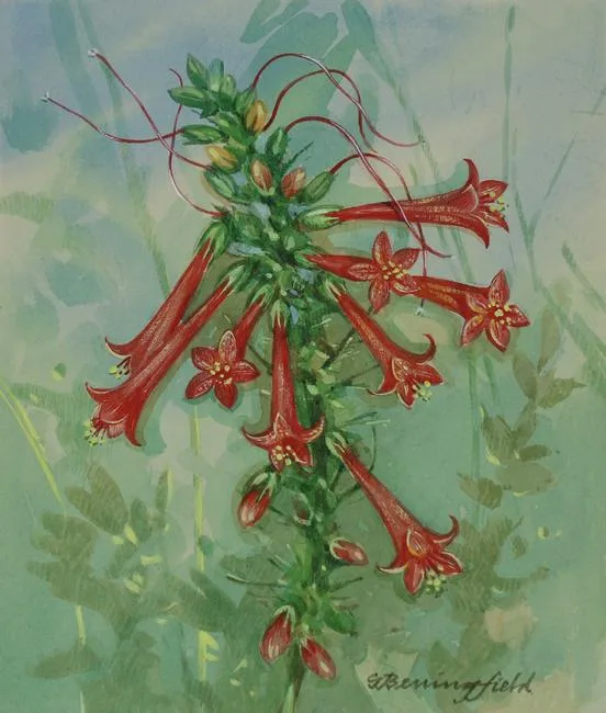 Standing Cypress by Gordon Beningfield, Watercolor on Illustration Board, sold Apr 2021