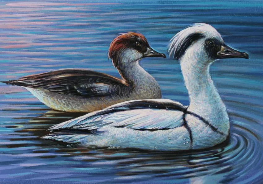 Smew by Ivan Kozlov, Watercolor on Paper, sold Apr 2021