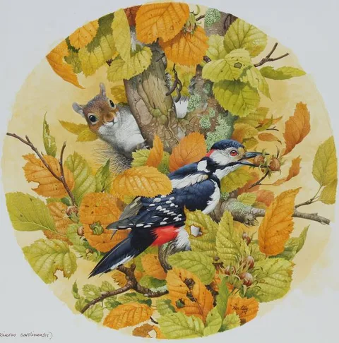 Ken Lilly, Grey Squirrel and Great Spotted Woodpecker, Watercolor on Paper
