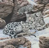 R.G. Finney, Snow Leopard and Her Cubs