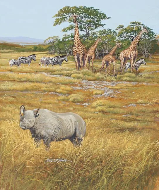 Tim O'Toole, Tanzania Wildlife, Oil on Cold Press Illustration Board
