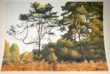Bent Pine Branch, Helmuth Stone Gallery 2021