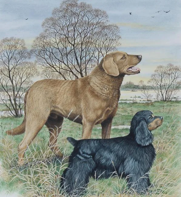 Chesapeake Bay Retriever and Cocker Spaniel by Peter Barrett, Watercolor on Illustration Board, sold Jun 2021