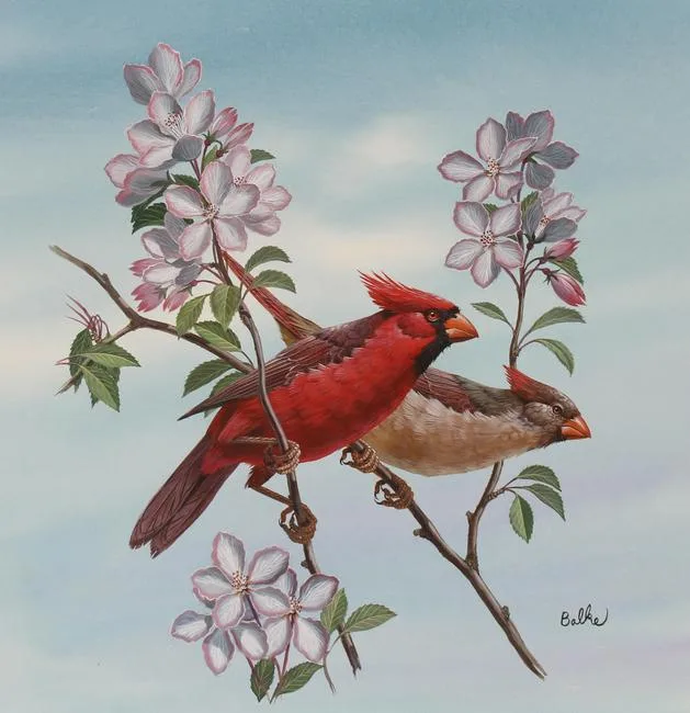 Cardinal by Don Balke, Watercolor on Illustration Board, sold Jun 2021
