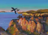 Ivan Kozlov, White-winged Scoter